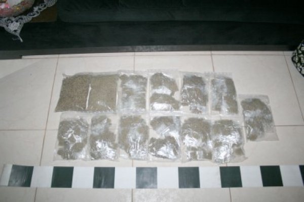 Jandarmii au surprins trei tineri care se pregăteau să se drogheze